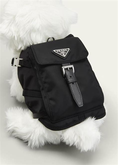 prada for cats|Prada pet accessories.